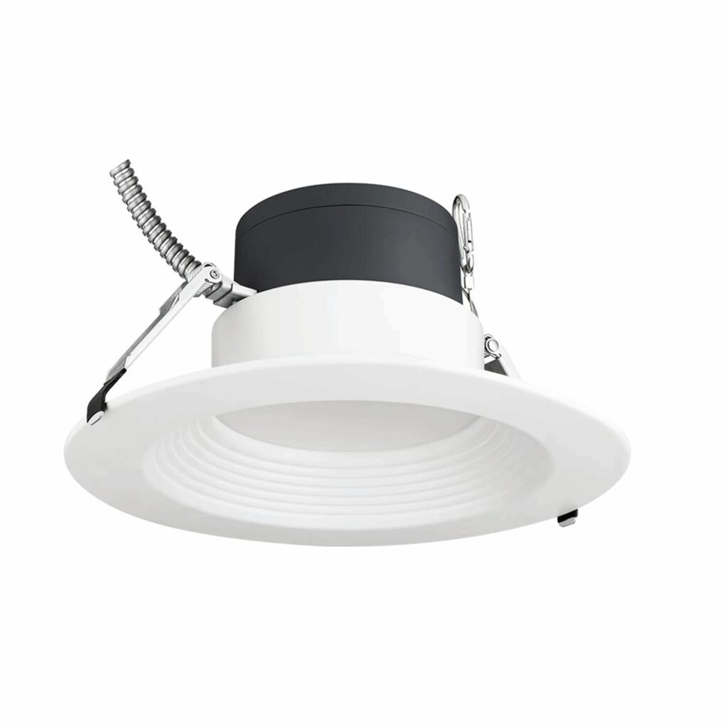 Front baffle and black driver on recessed fixture