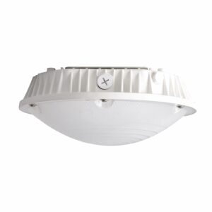 White ceiling LED dome light fixture