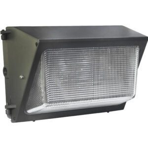 Outdoor wall light fixture with prismatic lens